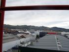 thumbs/NZ_Riki_2480.jpg