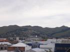 thumbs/NZ_Riki_2481.jpg