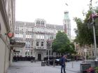 thumbs/NZ_Riki_2514.jpg