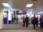 thumbs/NZ_Riki_2523.jpg