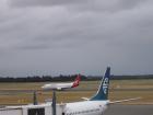 thumbs/NZ_Riki_2531.jpg