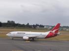 thumbs/NZ_Riki_2532.jpg