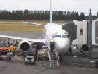 thumbs/NZ_Riki_2536.jpg