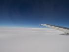 thumbs/NZ_Riki_2539.jpg