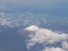 thumbs/NZ_Riki_2543.jpg