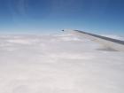 thumbs/NZ_Riki_2548.jpg