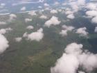 thumbs/NZ_Riki_2550.jpg