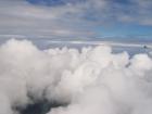 thumbs/NZ_Riki_2551.jpg