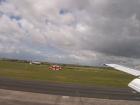 thumbs/NZ_Riki_2569.jpg