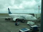 thumbs/NZ_Riki_2570.jpg