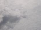 thumbs/NZ_Riki_2576.jpg