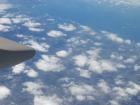 thumbs/NZ_Riki_2583.jpg