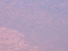 thumbs/NZ_Riki_2591.jpg