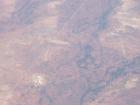 thumbs/NZ_Riki_2593.jpg