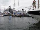 thumbs/2010_08_21_Amsterdam_sail_216.jpg