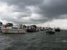 thumbs/2010_08_21_Amsterdam_sail_294.jpg