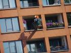 thumbs/20150822T133304_Amsterdam_Sail_2015.jpg