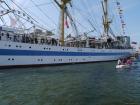 thumbs/20150822T134544_Amsterdam_Sail_2015.jpg