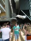 thumbs/20150822T151542_Amsterdam_Sail_2015.jpg