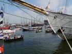 thumbs/20150822T153138_Amsterdam_Sail_2015.jpg