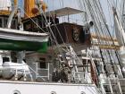 thumbs/20150822T153526_Amsterdam_Sail_2015.jpg