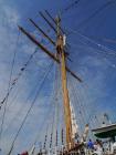 thumbs/20150822T153540_Amsterdam_Sail_2015.jpg