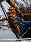 thumbs/20150822T153734_Amsterdam_Sail_2015.jpg