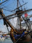thumbs/20150822T153738_Amsterdam_Sail_2015.jpg