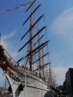 thumbs/20150822T155818_Amsterdam_Sail_2015.jpg