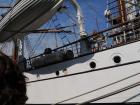 thumbs/20150822T160226_Amsterdam_Sail_2015.jpg