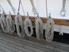 thumbs/20150822T162426_Amsterdam_Sail_2015.jpg