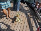 thumbs/20150822T162754_Amsterdam_Sail_2015.jpg