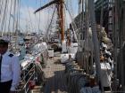 thumbs/20150822T163444_Amsterdam_Sail_2015.jpg