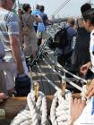 thumbs/20150822T163626_Amsterdam_Sail_2015.jpg