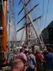 thumbs/20150822T165158_Amsterdam_Sail_2015.jpg