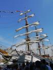 thumbs/20150822T170858_Amsterdam_Sail_2015.jpg