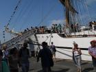 thumbs/20150822T170954_Amsterdam_Sail_2015.jpg