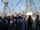 thumbs/20150822T171936_Amsterdam_Sail_2015.jpg