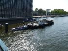 thumbs/20150822T174718_Amsterdam_Sail_2015.jpg