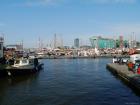 thumbs/20150822T180838_Amsterdam_Sail_2015.jpg