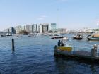 thumbs/20150822T180936_Amsterdam_Sail_2015-1.jpg
