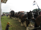 thumbs/OldTimerdag_Tilligte_2008_015.png
