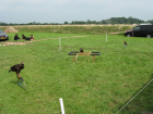 thumbs/OldTimerdag_Tilligte_2008_057.png