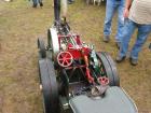 thumbs/2009_Tilligte_009.jpg