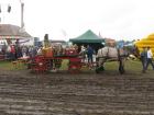 thumbs/2009_Tilligte_090.jpg