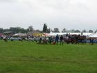 thumbs/2009_Tilligte_115.jpg