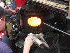 thumbs/2009_Tilligte_120.jpg