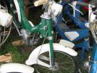 thumbs/Tilligte_20100801_058.jpg