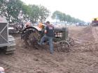 thumbs/Tilligte_20100801_106.jpg