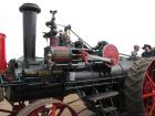thumbs/Tilligte_20100801_154.jpg